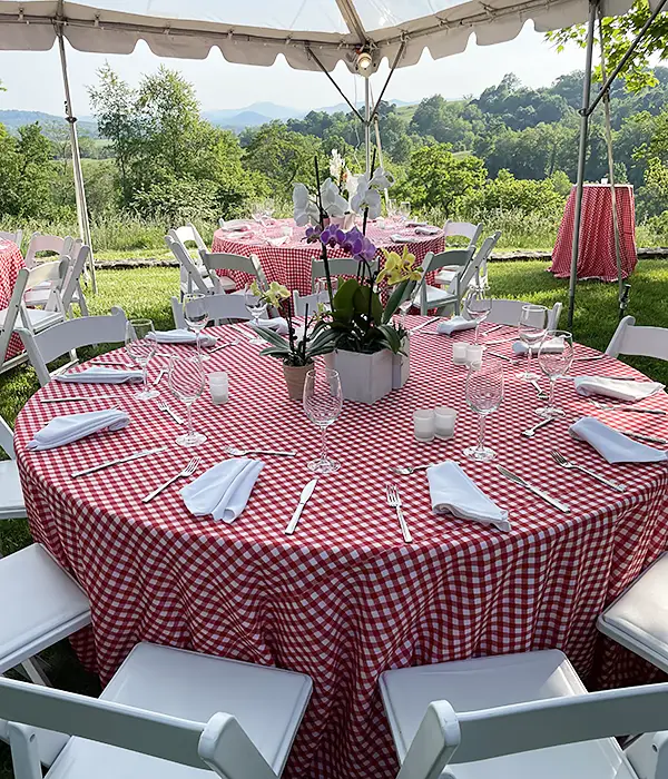 Red gingham table scape for Rocklands catered event